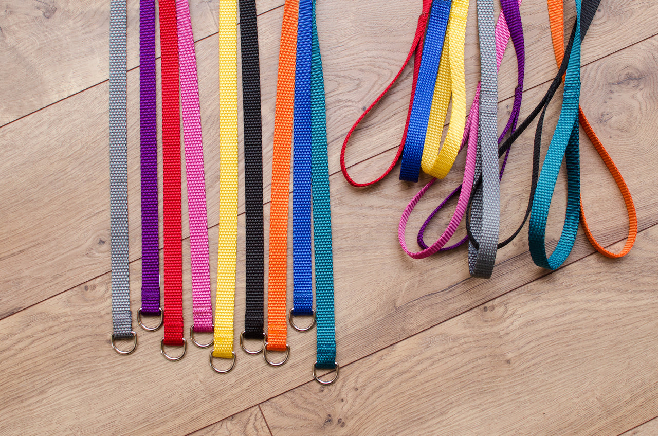Slip Lead, Kennel Leash, Collar/Leash Combo - Fox Valley Dog Collars