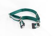 Semi-BREAKAWAY Reflective Martingale Dog Collar - Fox Valley Dog Collars