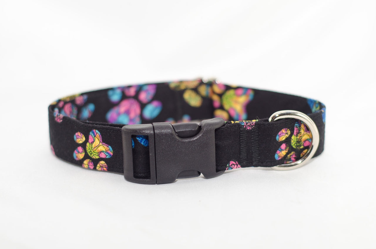 Painted Paw Prints Adjustable Dog Collar - Fox Valley Pet Wear