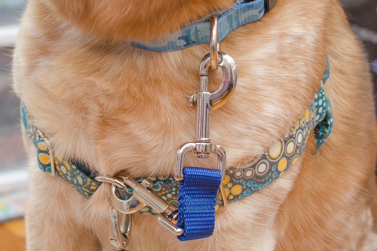Dog Training Collar, Metal Choke Chain for Dog Adjustable Durable Thick Prong Collars Dogs Anti Dog Training Collar, Metal Choke Chain for Dog Adjustable Durable Thick Prong Collars Dogs Anti