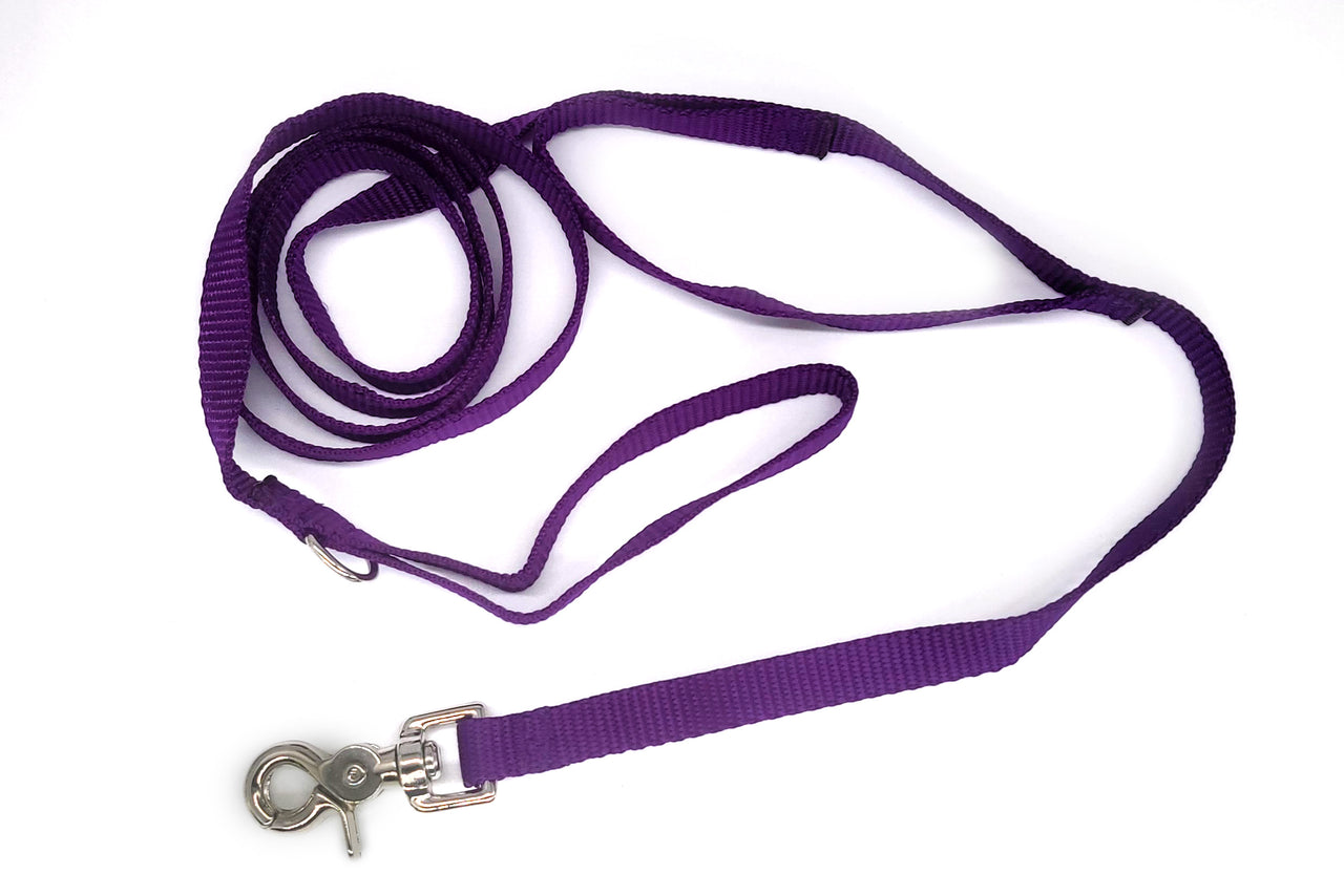 6ft Purple Leash with Trigger Snap, Traffic Handle, and D-ring - 5/8" wide