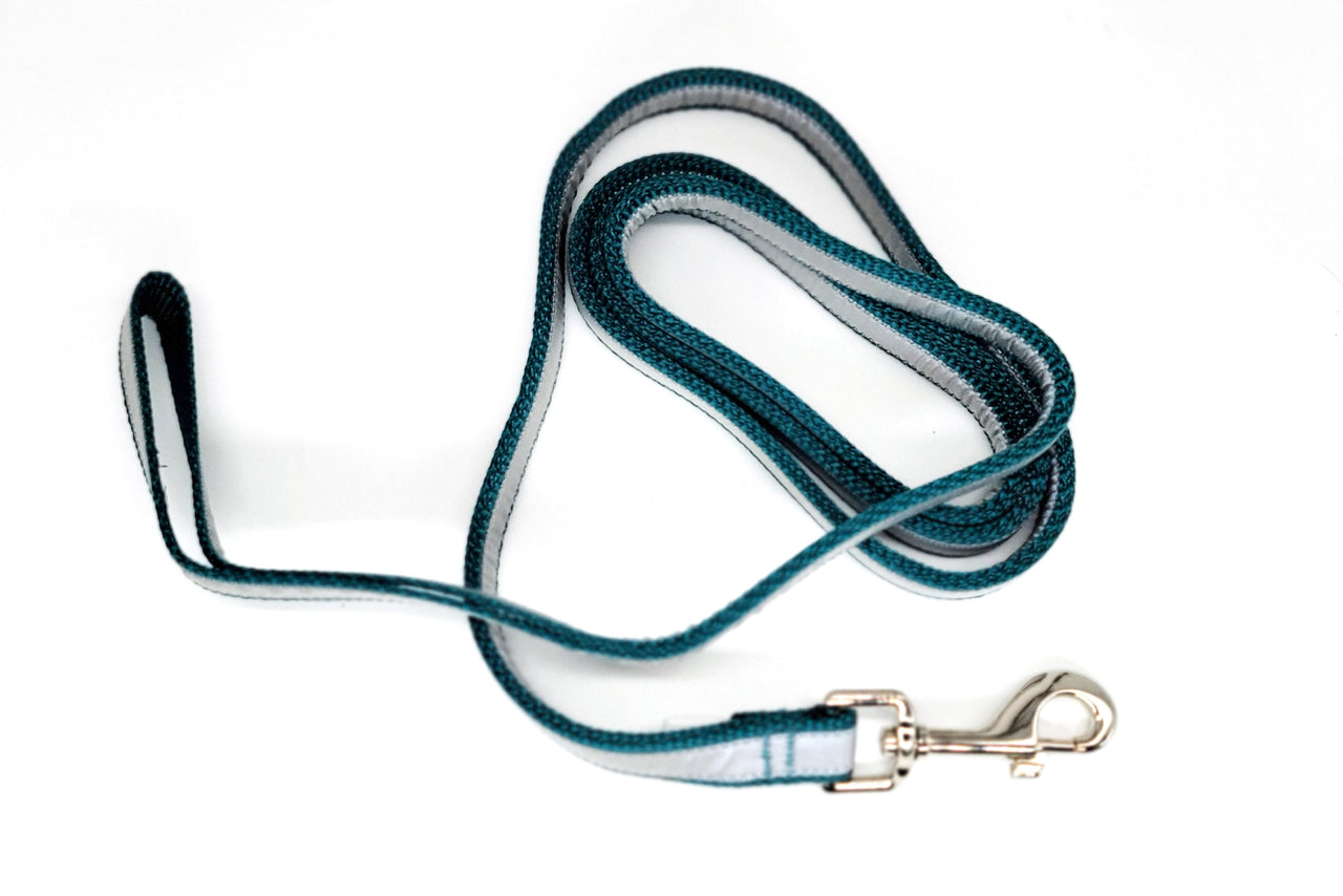 6ft Reflective2-Ply Teal Leash | 3/4" wide