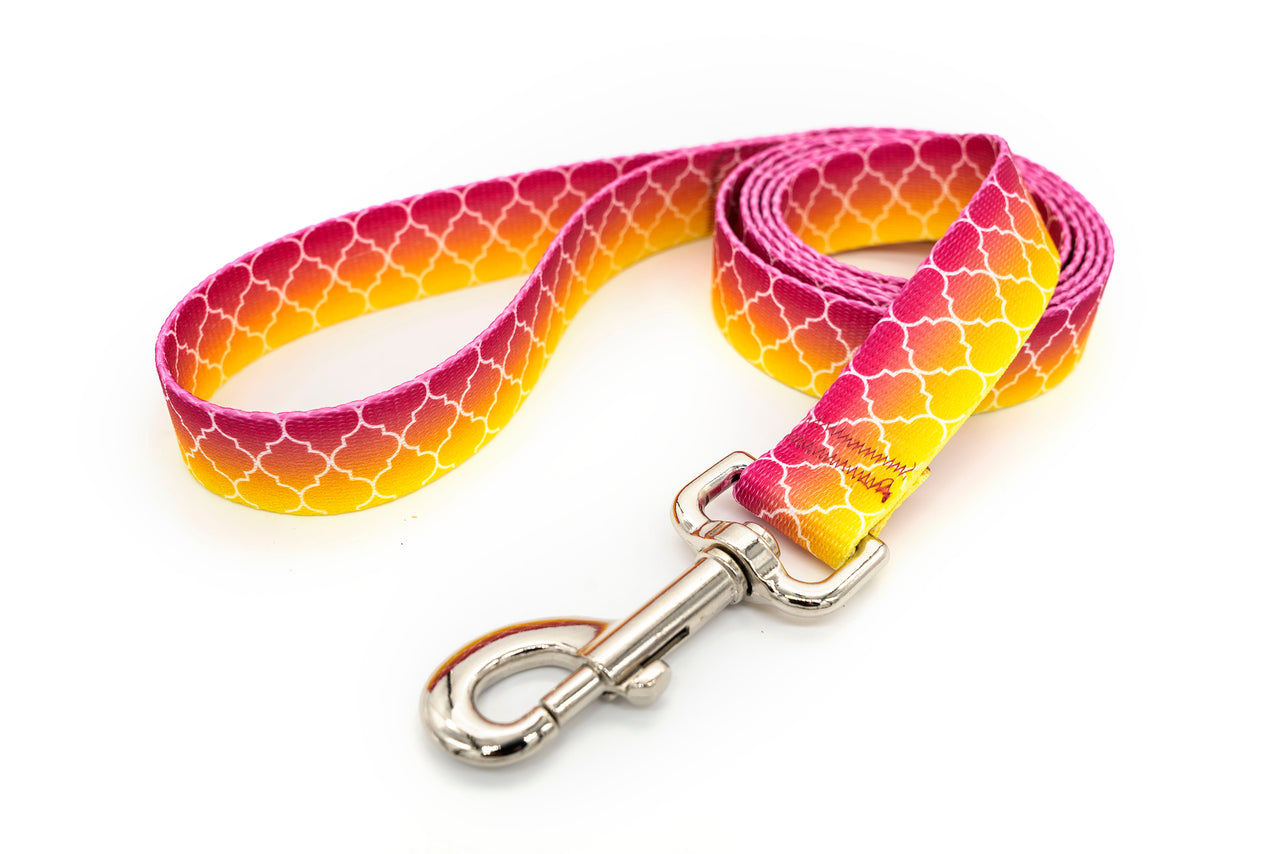 PRINTS - Leashes | 30+ vibrant prints | 3 widths - Fox Valley Pet Wear