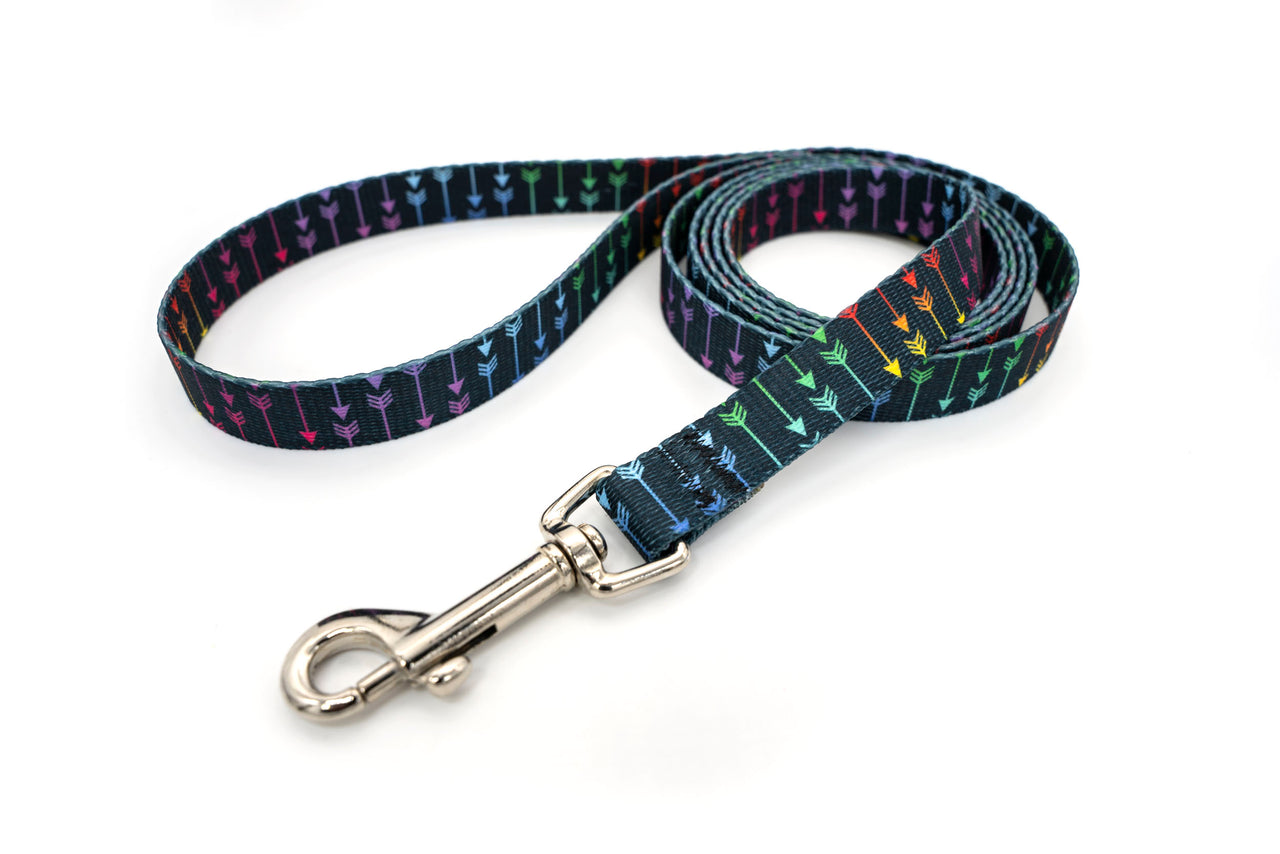 PRINTS - Leashes | 30+ vibrant prints | 3 widths - Fox Valley Pet Wear