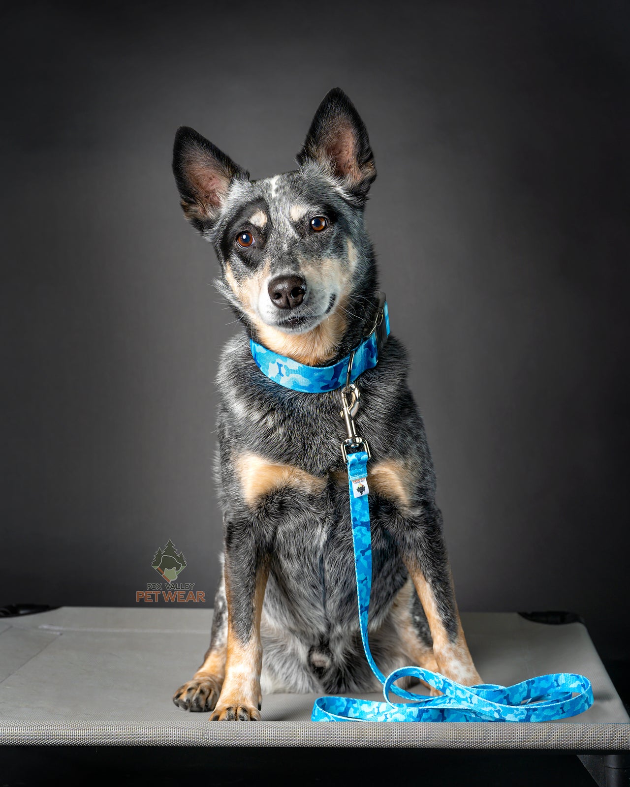 BREAKAWAY Personalized "Blue Bones Camo" Dog Collar