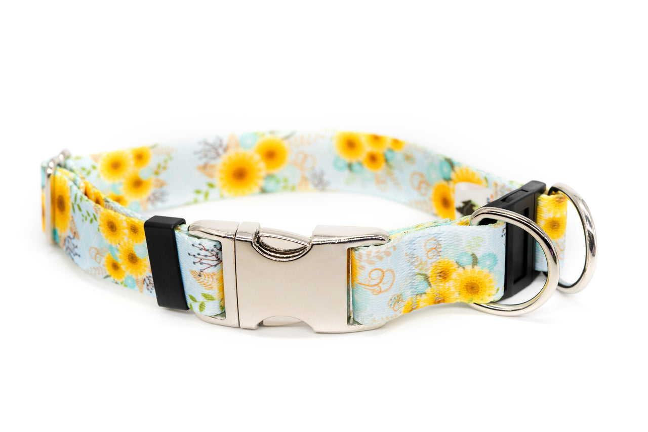 BREAKAWAY Personalized "Sunny Days" Patterned Collar