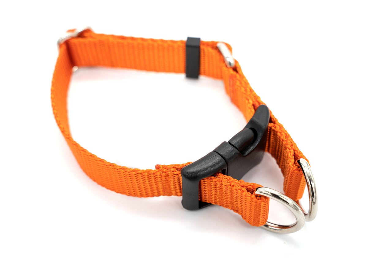 Double D-Ring Flat Buckle Collar | Solid or Reflective | 3 widths!