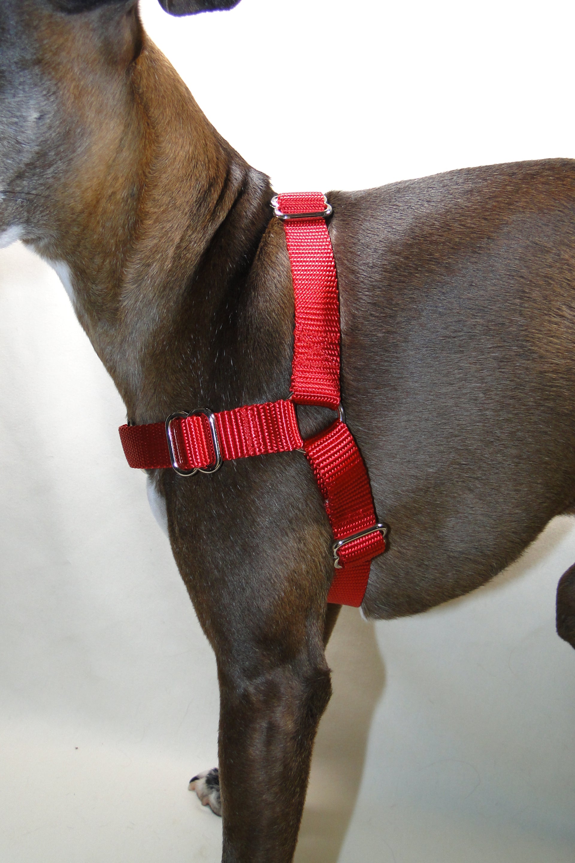 Reflective Nylon Easy On Dog Harness - Optional Engraving