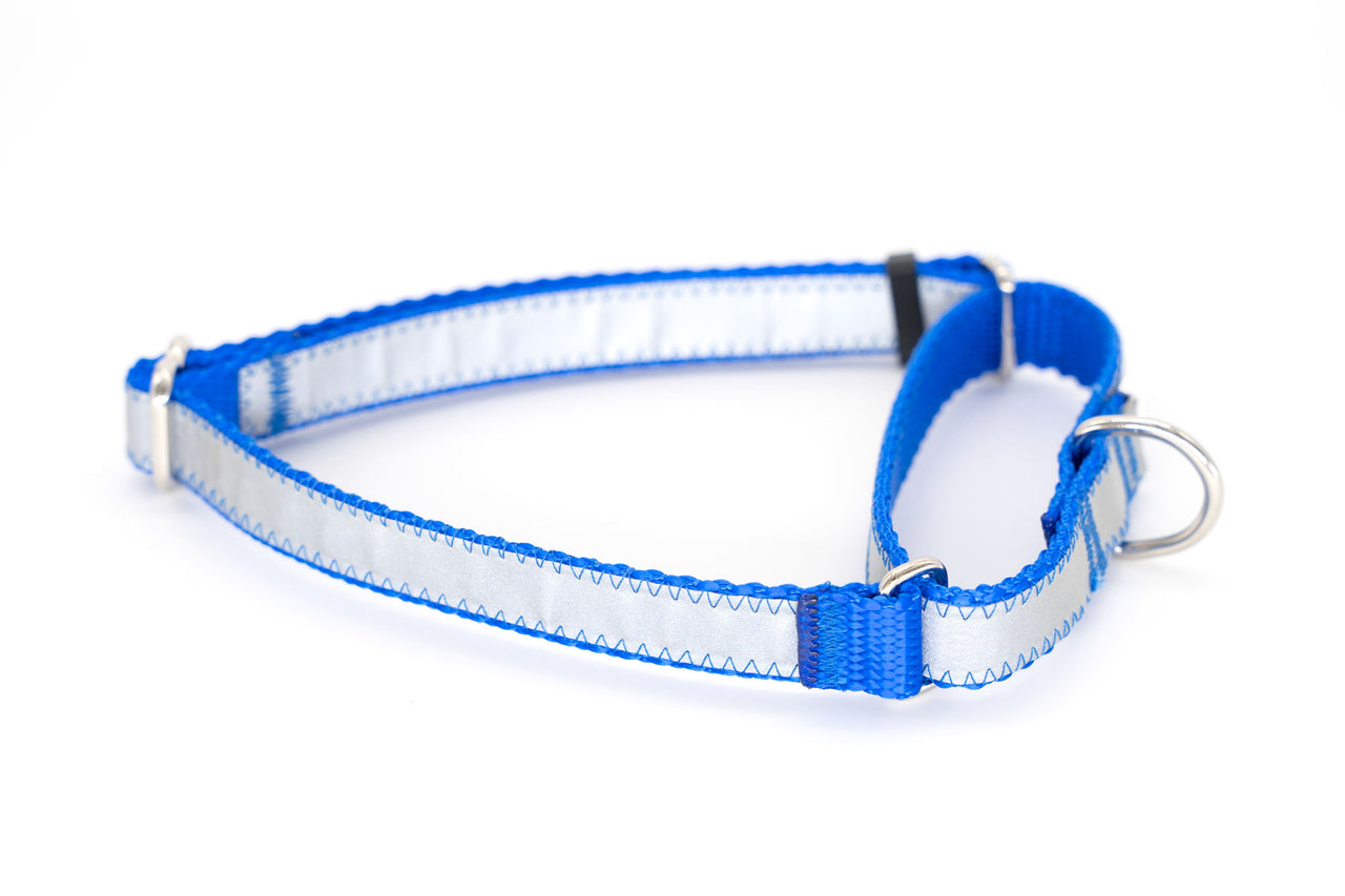Reflective Martingale - royal blue, 5/8" wide, 13"-19"