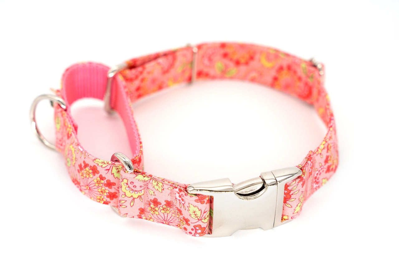 Quick Release Martingale - Strawberry Paisley, 1" wide, 19-26"