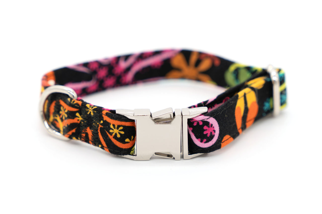 Neon Flowers on black, adjustable dog collar, small