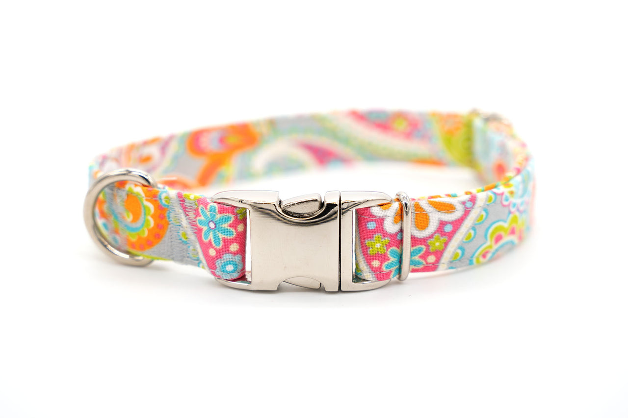 Rainbow Paisley adjustable dog collar, medium or small