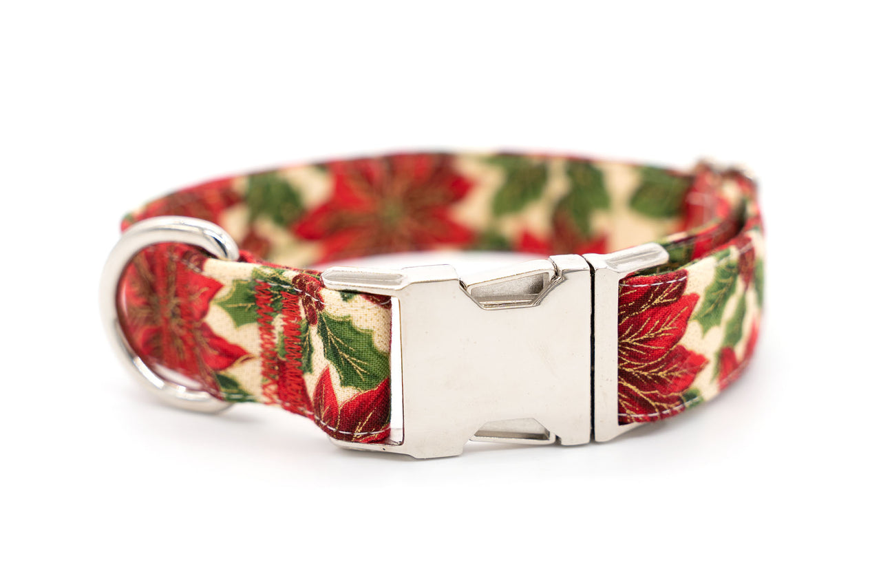 Poinsettias adjustable dog collar, medium, 1" wide