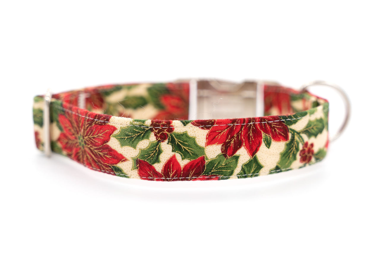Poinsettias adjustable dog collar, medium, 1" wide