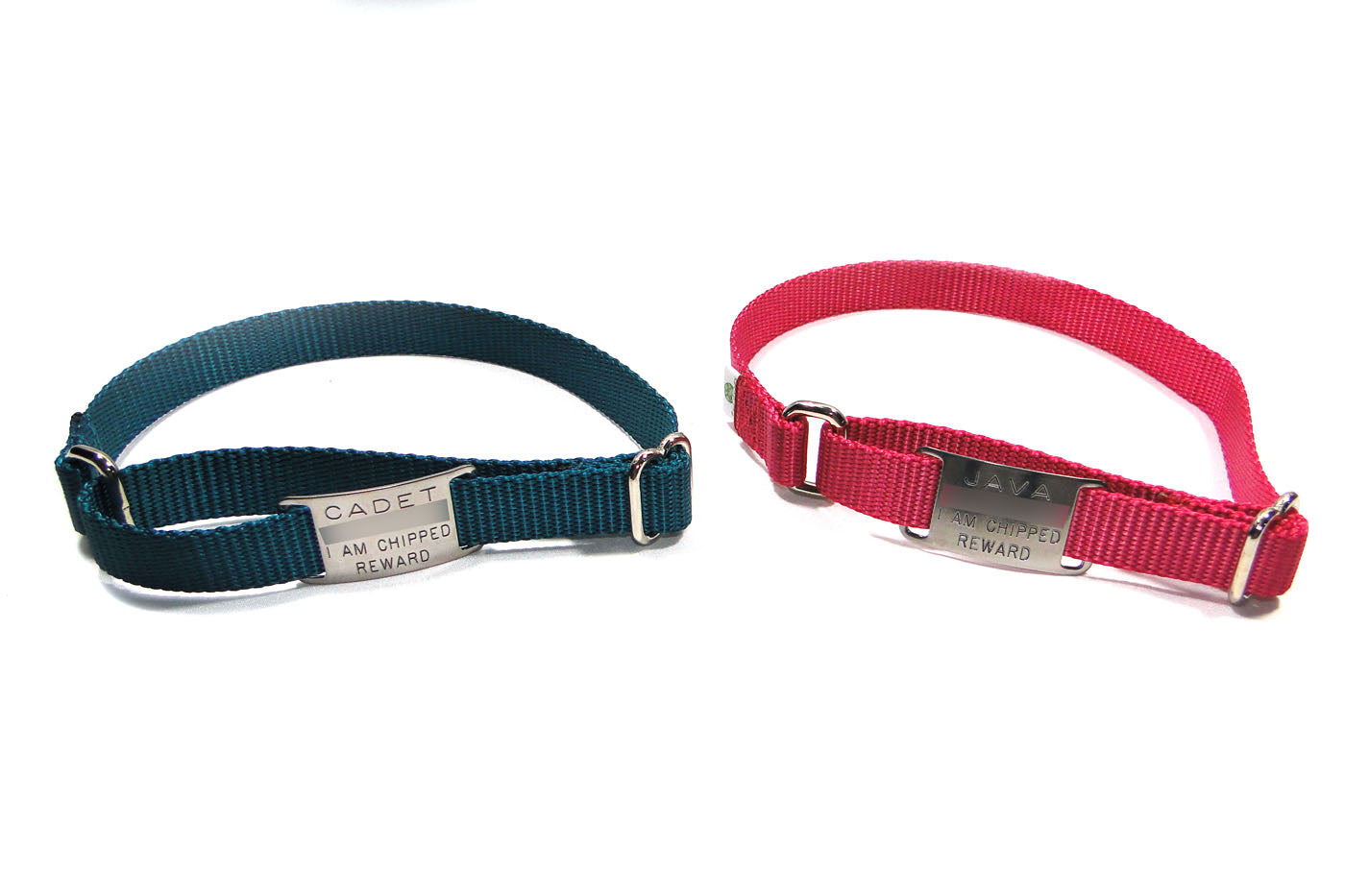 Chipped dog outlet collars