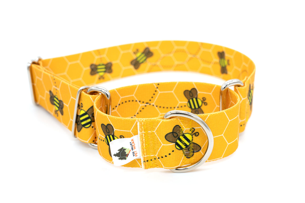 Patterned Webbing Martingale Dog Collar - 20 prints, made in the USA! - Fox Valley Pet Wear