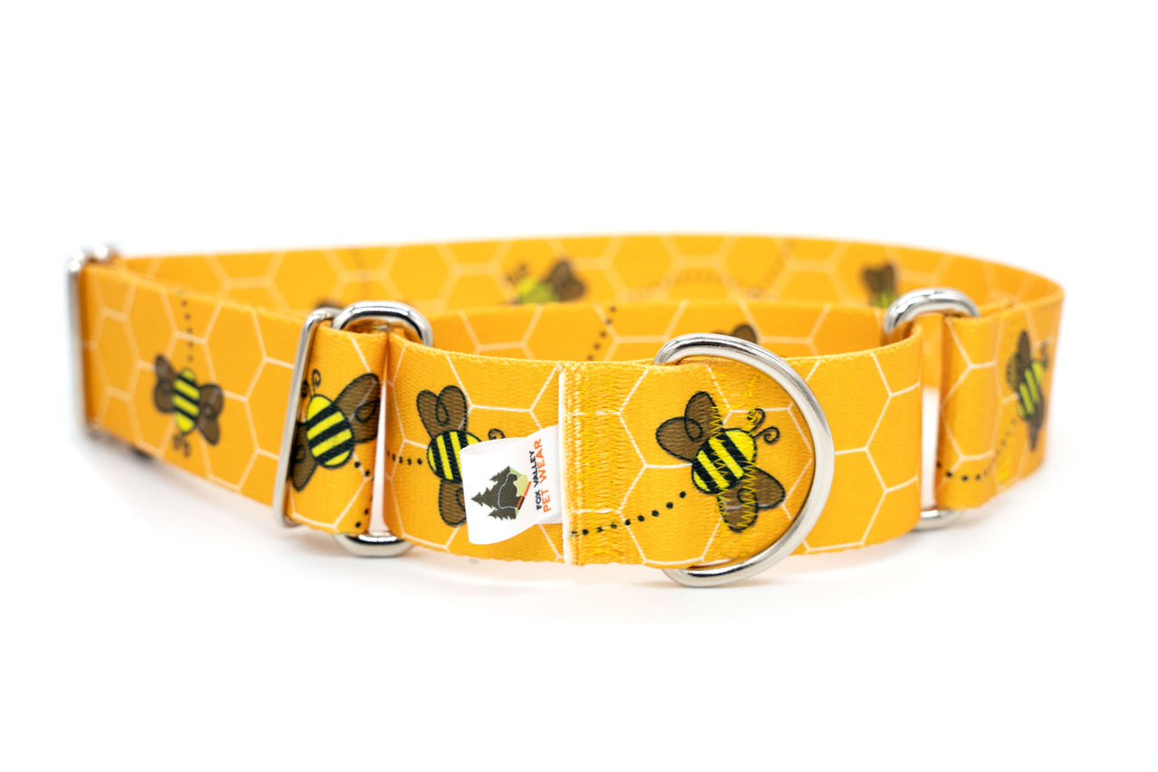 Patterned Webbing Martingale Dog Collar - 20 prints, made in the USA! - Fox Valley Pet Wear