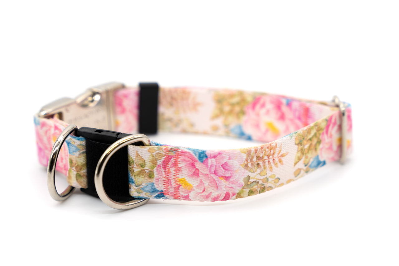 BREAKAWAY Personalized "Painted Peonies" Dog Collar