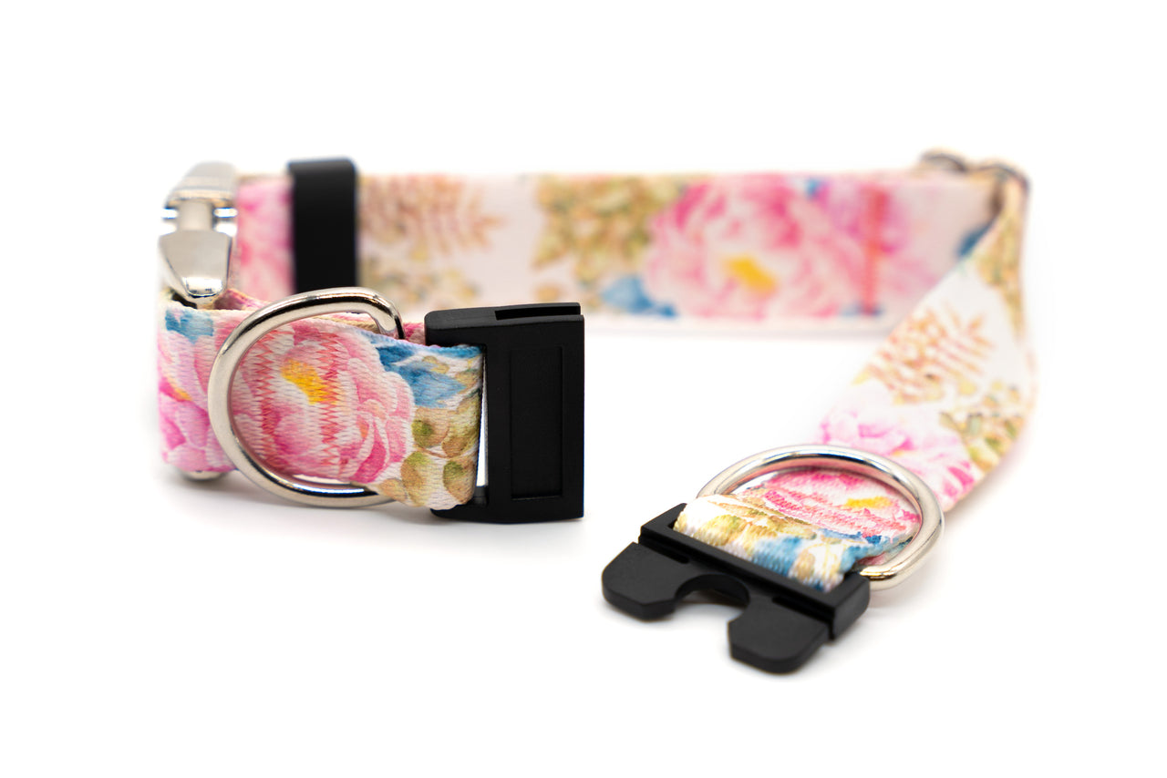 BREAKAWAY Personalized "Painted Peonies" Dog Collar