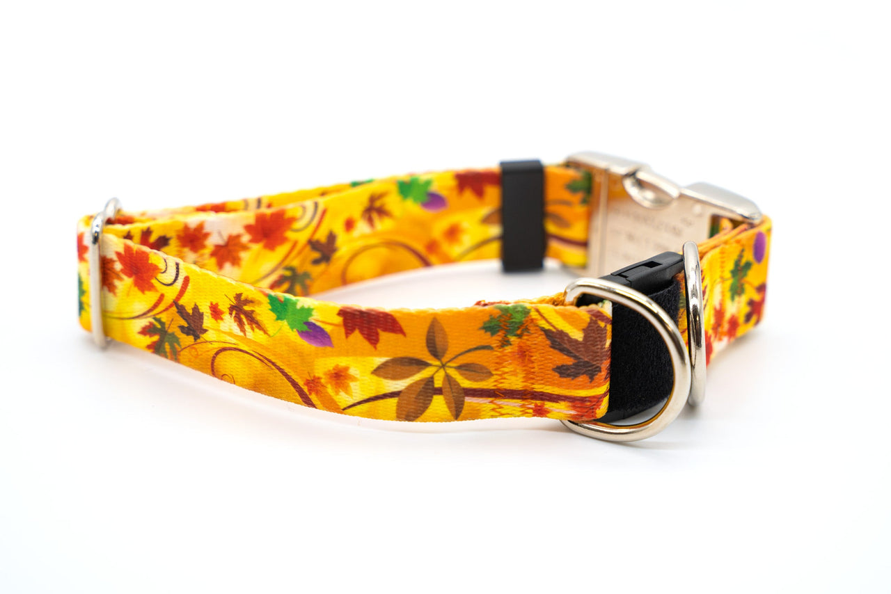 BREAKAWAY Personalized "Autumn Wind" Dog Collar