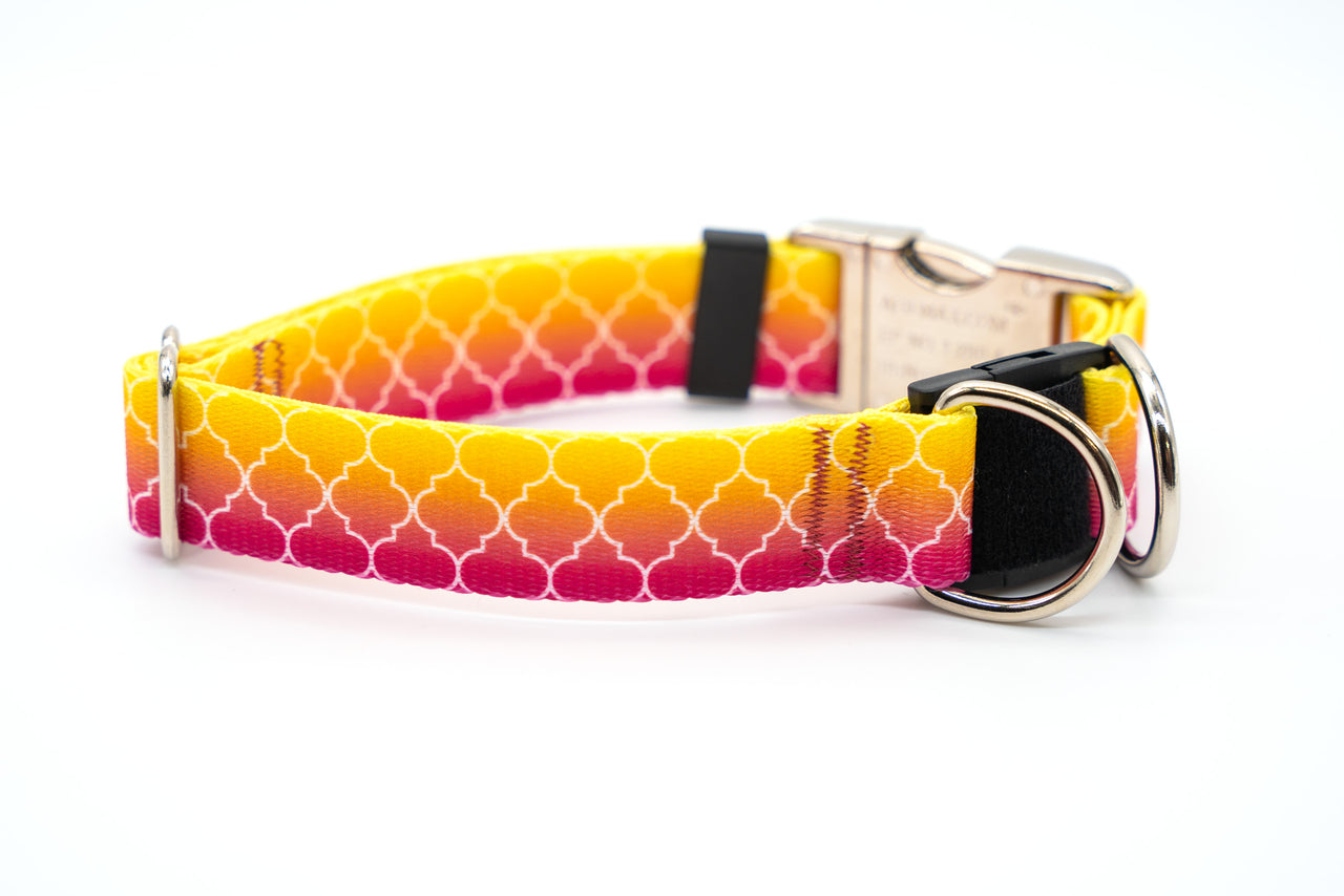 BREAKAWAY Personalized "Fruity Ombre" Dog Collar