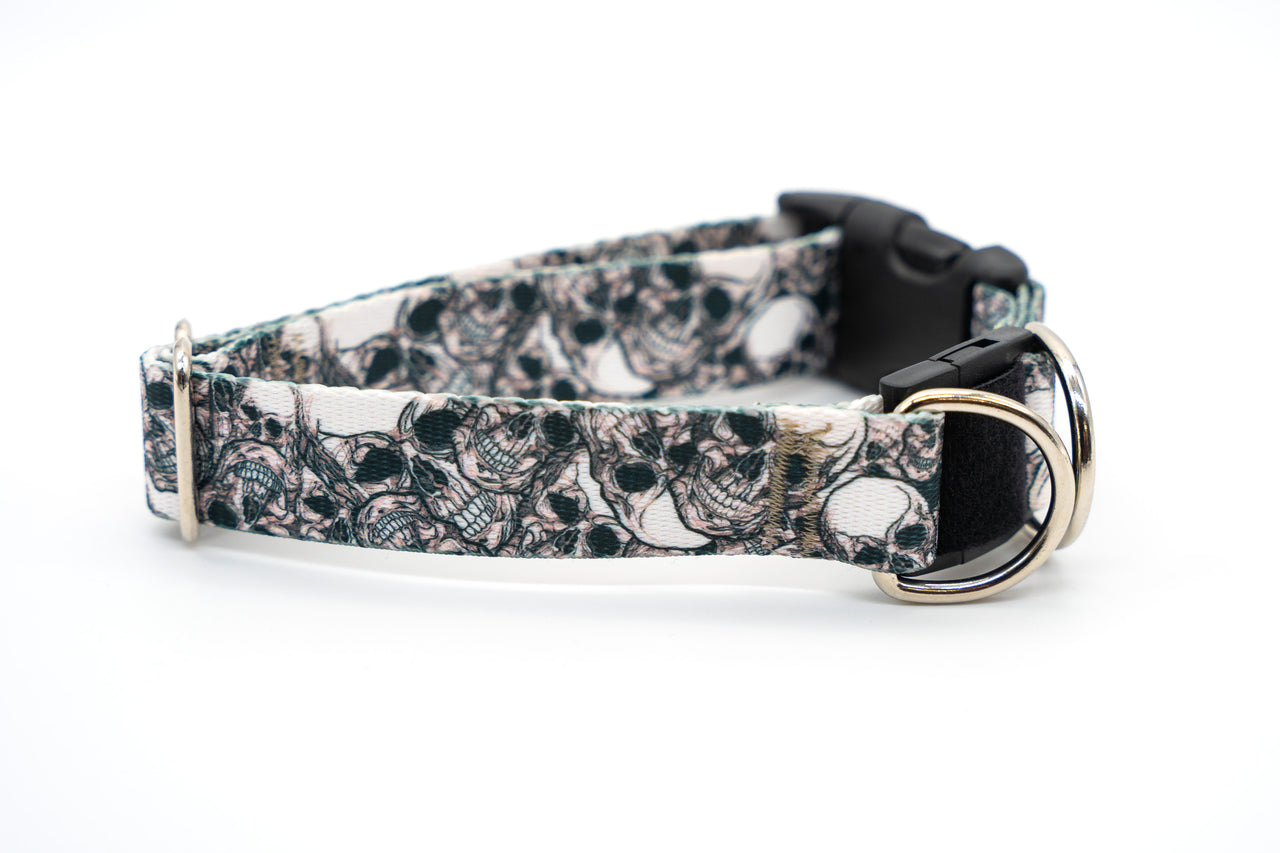 BREAKAWAY Personalized "Skulls" Dog Collar