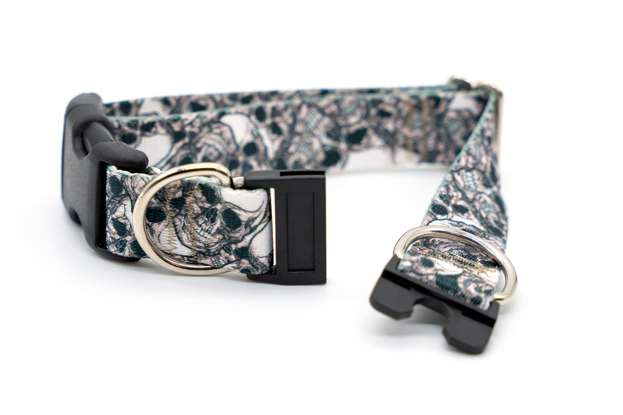 BREAKAWAY Personalized "Skulls" Dog Collar