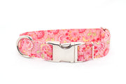 Strawberry Paisley adjustable dog collar, medium - Fox Valley Dog Collars