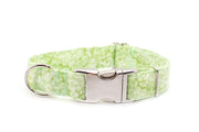 Spring Green Floral adjustable dog collar, medium - Fox Valley Dog Collars