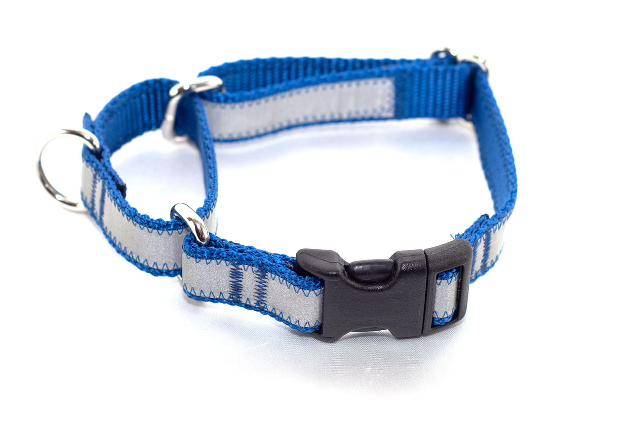 Reflective Quick Release Martingale - royal blue, 3/4" wide, M - Fox Valley Dog Collars