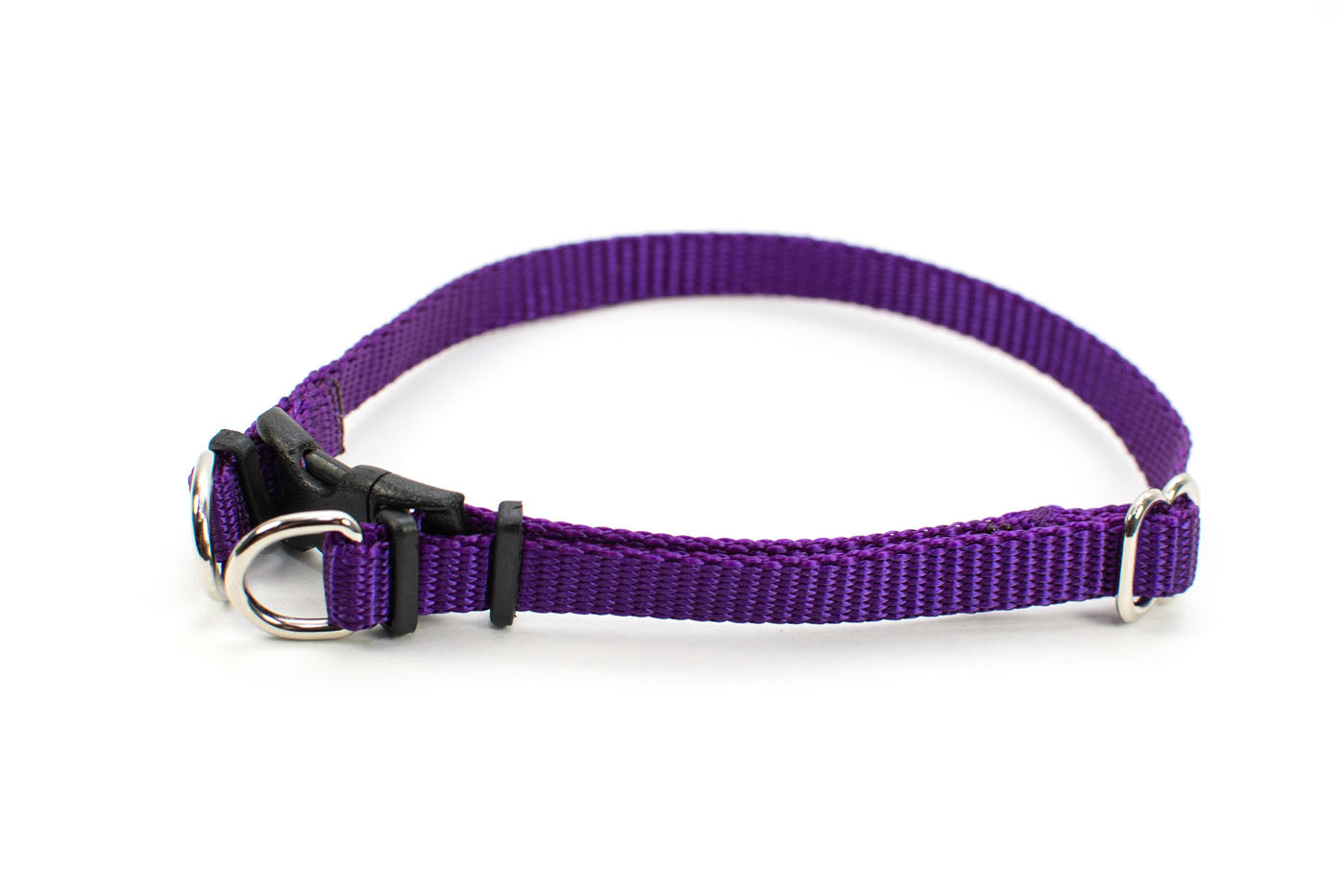 Purple poppy for dog fashion collar