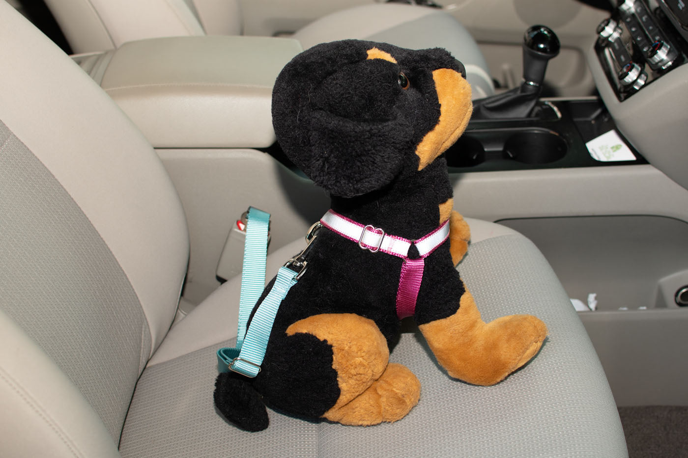 Dog Seat Belt Tether - Fox Valley Dog Collars