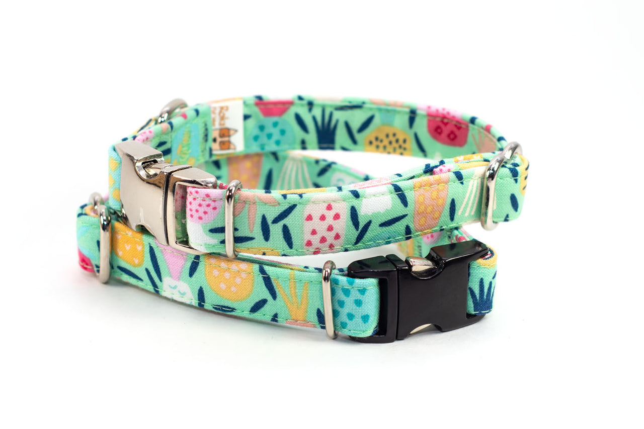 Tropical Pineapples on Mint adjustable dog collar, small - Fox Valley Pet Wear
