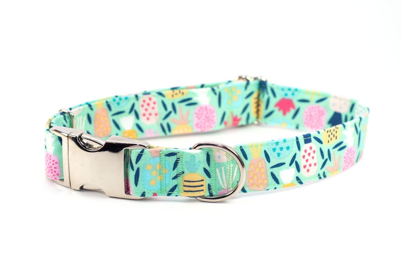Tropical Pineapples on Mint adjustable dog collar, small - Fox Valley Pet Wear