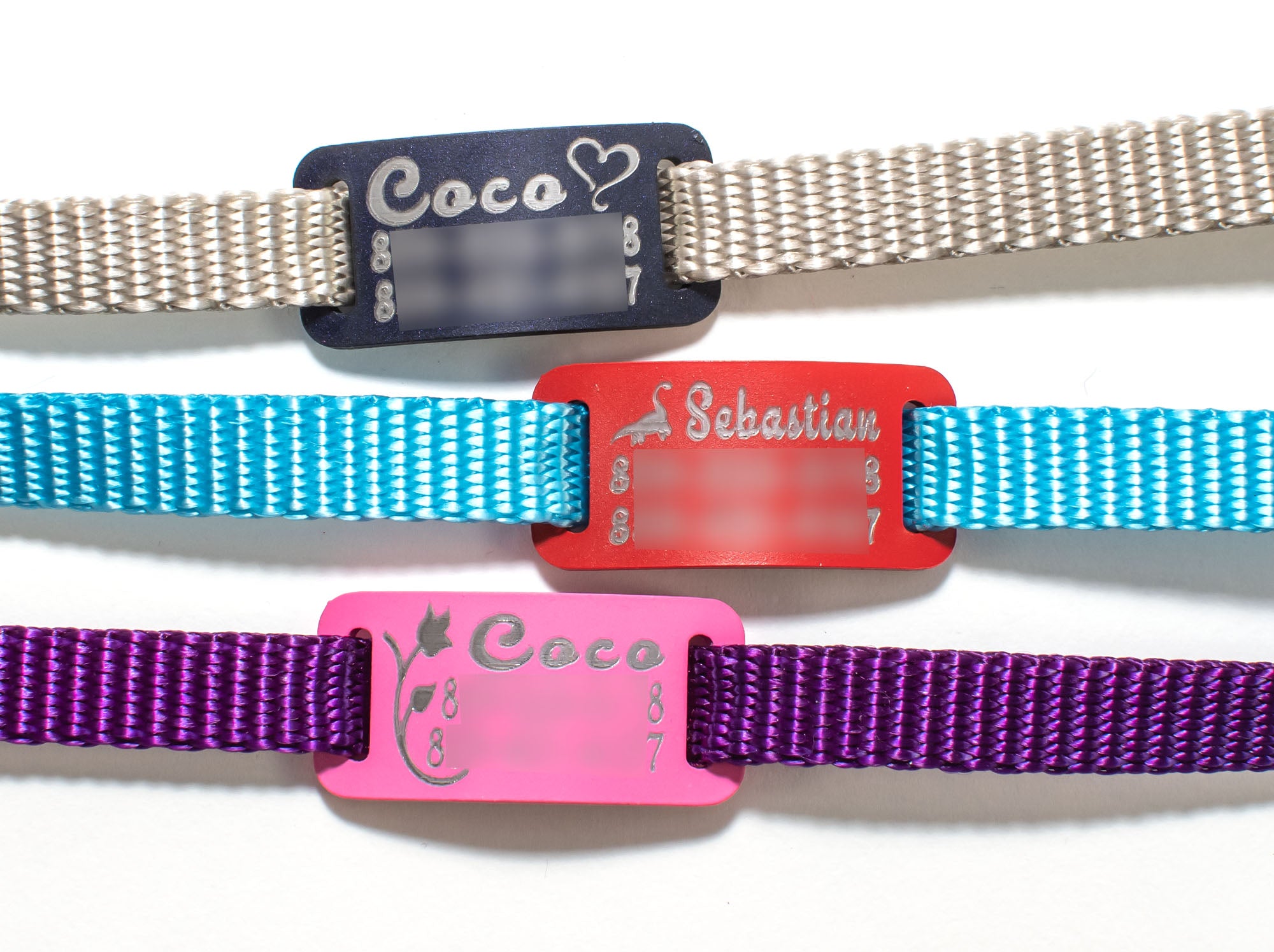 Dog collar that sales holds tags