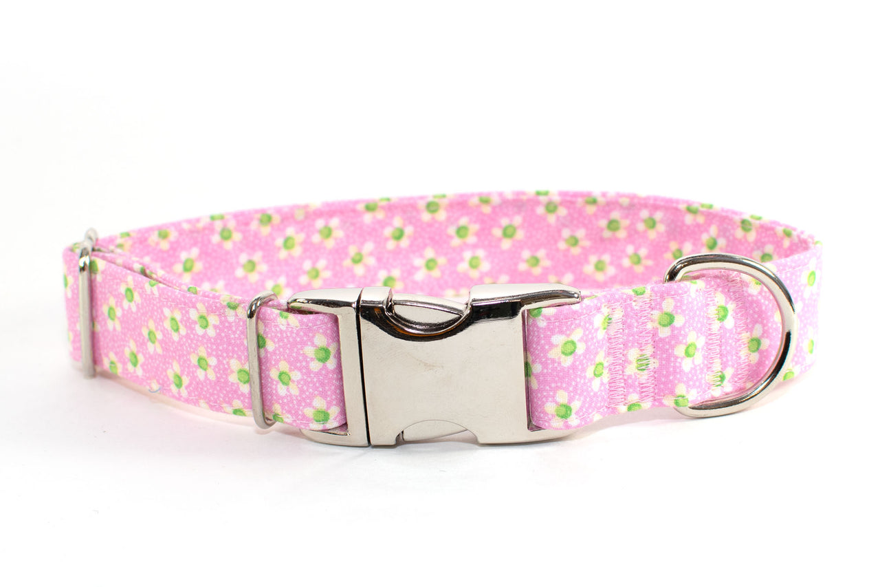 "Payton" adjustable dog collar, medium