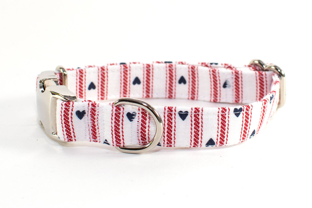 Hearts & Stripes Forever adjustable dog collar, small