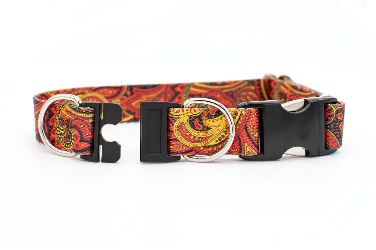 BREAKAWAY Personalized "Fire Paisley" Dog Collar
