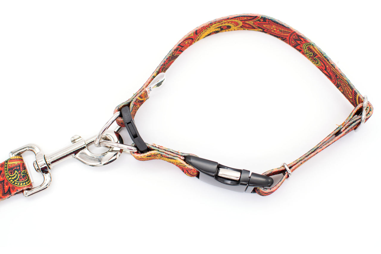 BREAKAWAY Personalized "Fire Paisley" Dog Collar