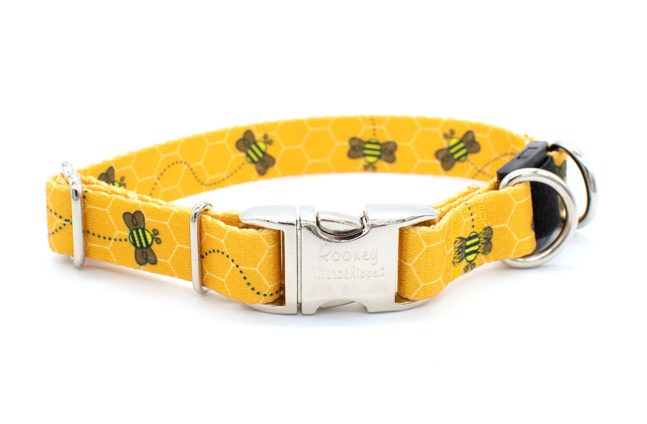 BREAKAWAY Personalized "Busy Bees" Dog Collar