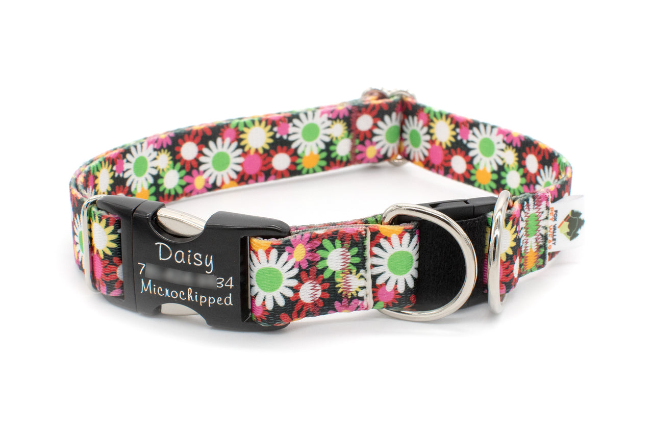BREAKAWAY Personalized "Daisy Fields" Dog Collar