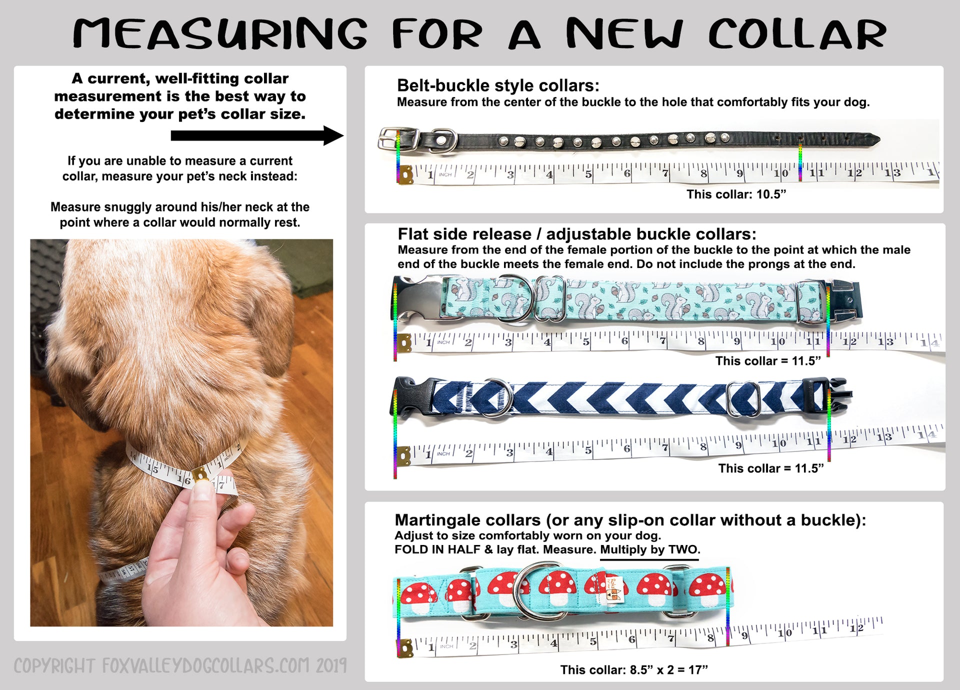 Feel the Vibration adjustable dog collar, medium - Fox Valley Pet Wear