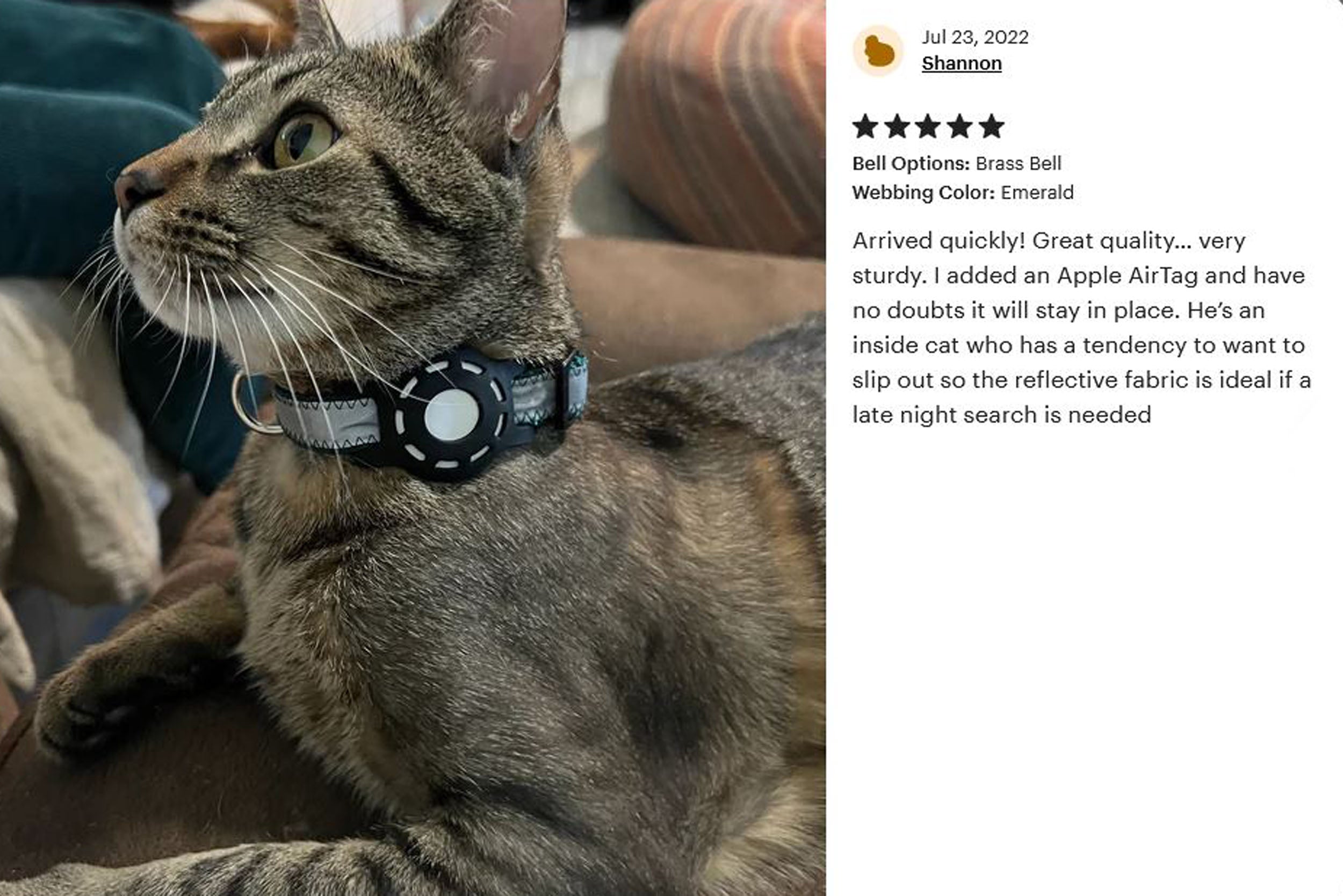 Wide cheap cat collar