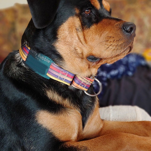 Silent cheap dog collar