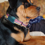 Jingle-Free Silent ID Tags - Fox Valley Dog Collars