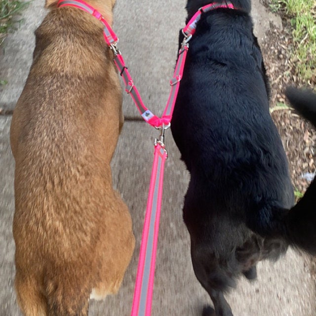 Leash Splitter / Coupler to Walk 2 dogs with 1 Leash - Fox Valley Pet Wear