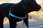Reflective No-Pull Dog Harness - Fox Valley Pet Wear