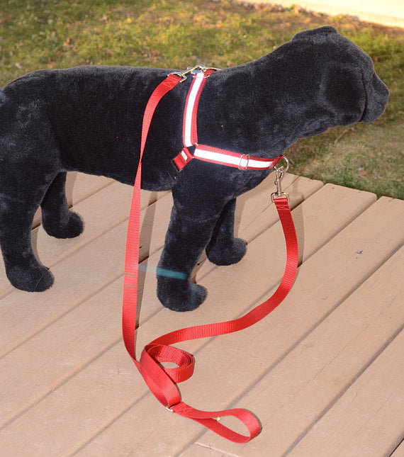 Reflective Dual-Attach No-Pull Harness™ - Fox Valley Pet Wear