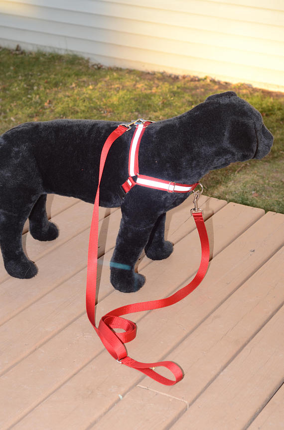 Dual Attach Leash With Sliding Handle - Fox Valley Dog Collars