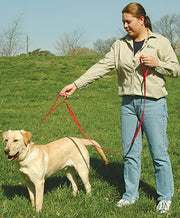 UPGRADE  - Leash Traffic Handle - Fox Valley Dog Collars